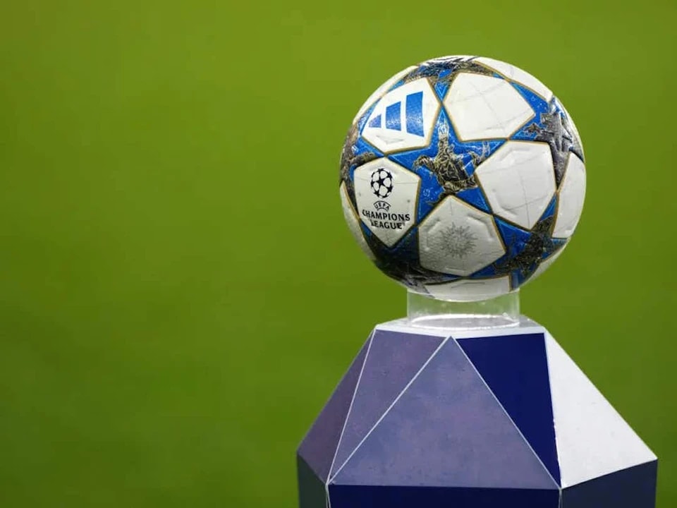 以伤害任何, 重视身体和 以伤害任何, 重视身体和